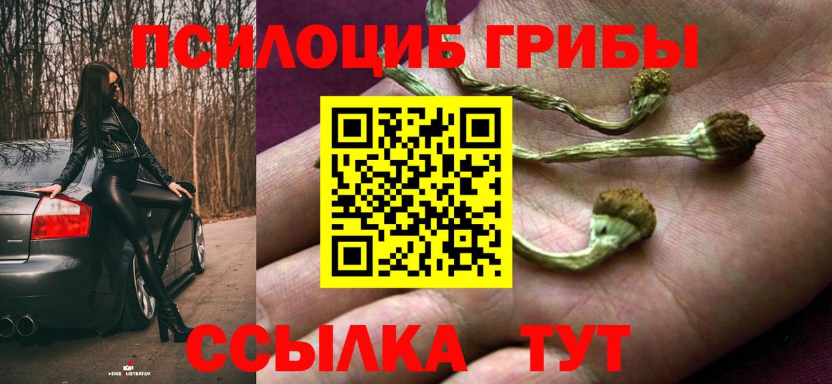 Галлюциногенные грибы Magic Shrooms  Псилоцибиновые грибы Psilocybe  Вход с VPN  Котлас 